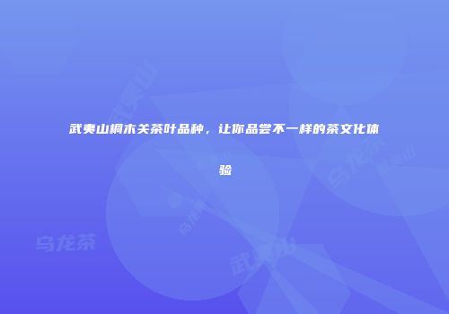 武夷山桐木关茶叶品种，让你品尝不一样的茶文化体验