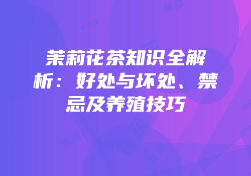茉莉花茶知识全解析：好处与坏处、禁忌及养殖技巧