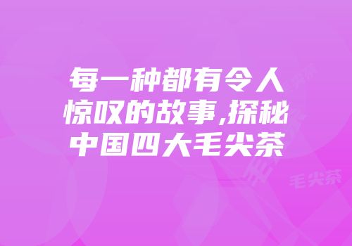 每一种都有令人惊叹的故事,探秘中国四大毛尖茶