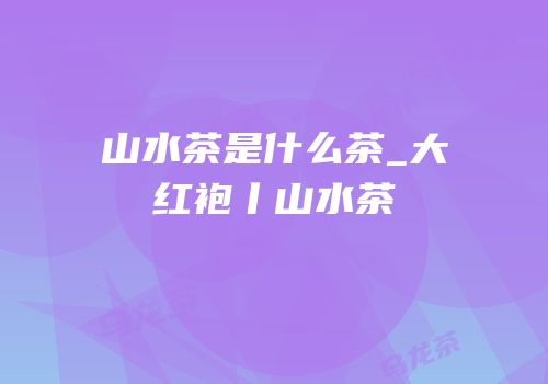 山水茶是什么茶_大红袍丨山水茶