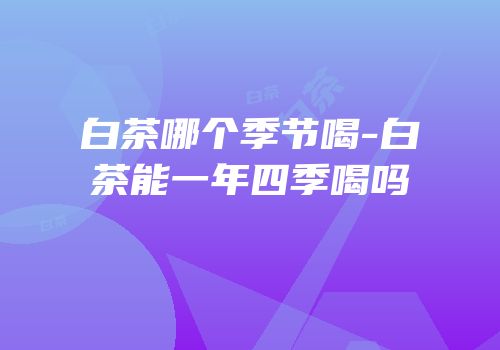白茶哪个季节喝-白茶能一年四季喝吗