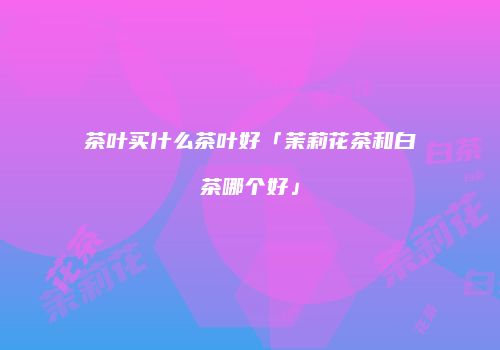 茶叶买什么茶叶好「茉莉花茶和白茶哪个好」