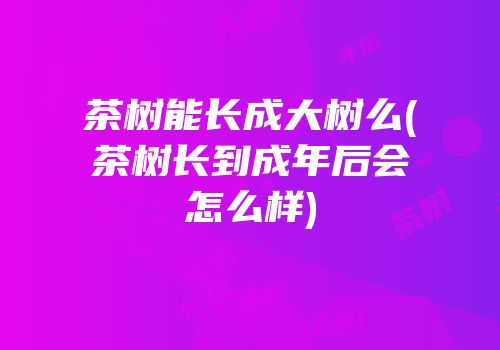 茶树能长成大树么(茶树长到成年后会怎么样)
