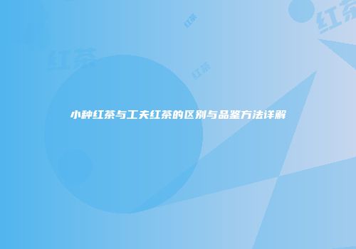 小种红茶与工夫红茶的区别与品鉴方法详解