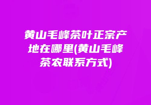 黄山毛峰茶叶正宗产地在哪里(黄山毛峰茶农联系方式)