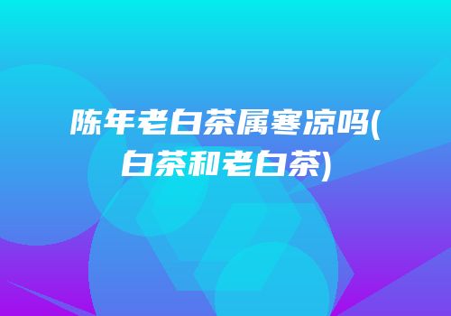 陈年老白茶属寒凉吗(白茶和老白茶)