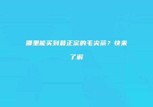 哪里能买到最正宗的毛尖茶？快来了解