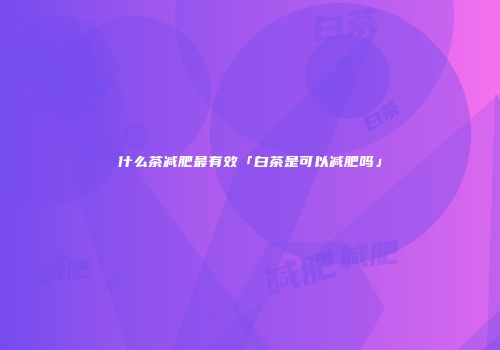 什么茶减肥最有效「白茶是可以减肥吗」