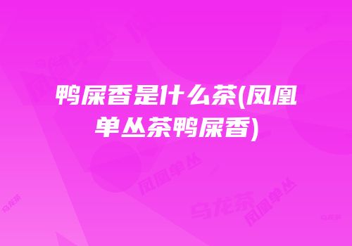 鸭屎香是什么茶(凤凰单丛茶鸭屎香)