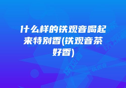 什么样的铁观音喝起来特别香(铁观音茶好香)