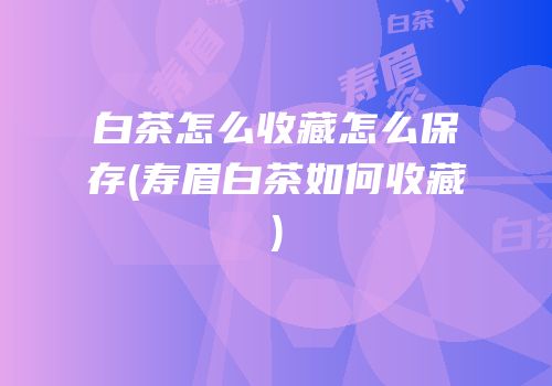 白茶怎么收藏怎么保存(寿眉白茶如何收藏)