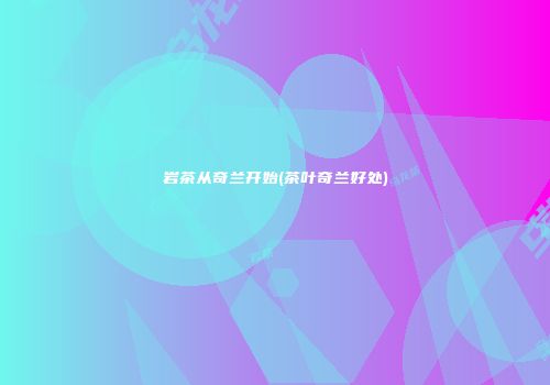 岩茶从奇兰开始(茶叶奇兰好处)