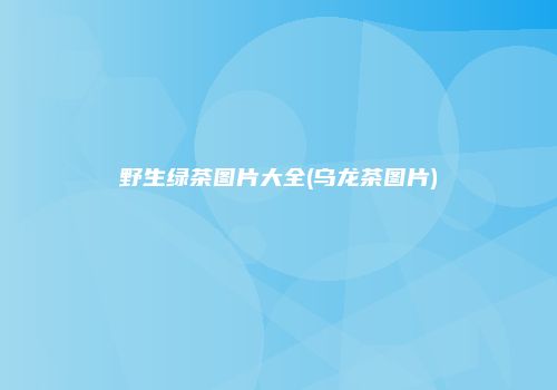 野生绿茶图片大全(乌龙茶图片)