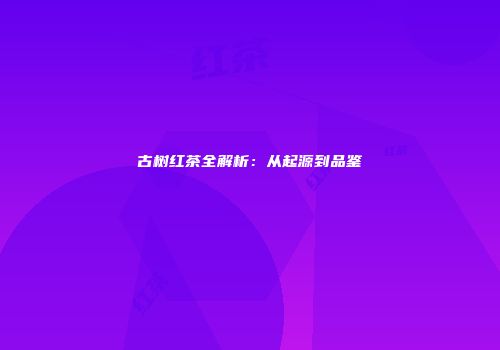 古树红茶全解析：从起源到品鉴