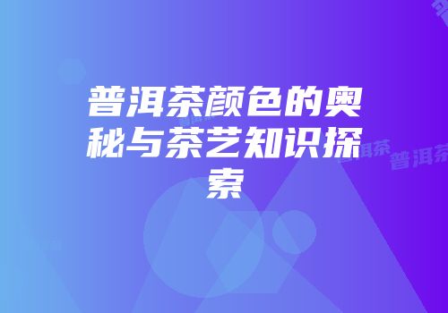 普洱茶颜色的奥秘与茶艺知识探索