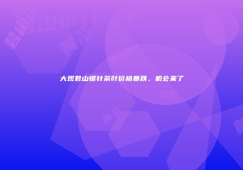 大观君山银针茶叶价格暴跌，机会来了