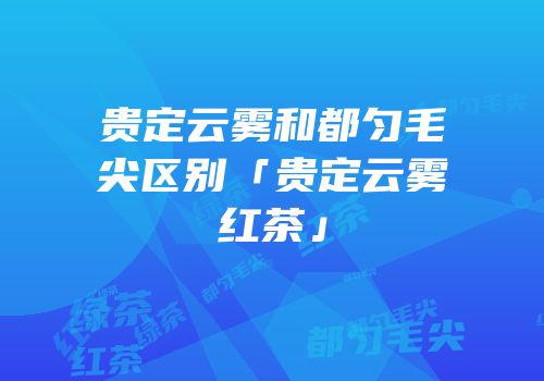 贵定云雾和都匀毛尖区别「贵定云雾红茶」