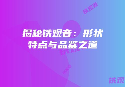 揭秘铁观音：形状特点与品鉴之道