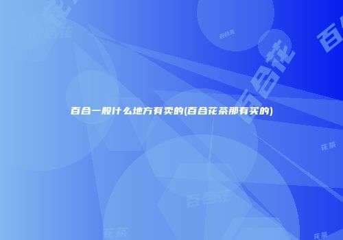 百合一般什么地方有卖的(百合花茶那有买的)