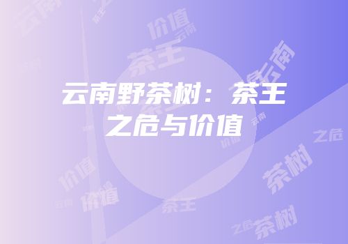 云南野茶树：茶王之危与价值