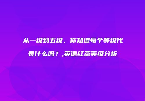 从一级到五级，你知道每个等级代表什么吗？,英德红茶等级分析
