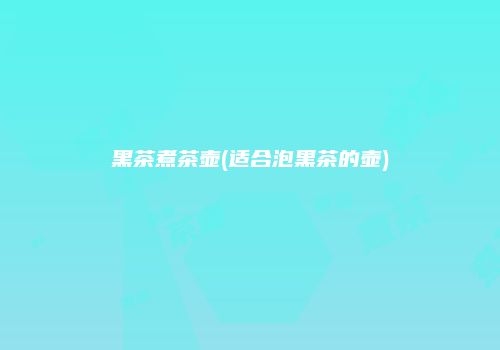 黑茶煮茶壶(适合泡黑茶的壶)