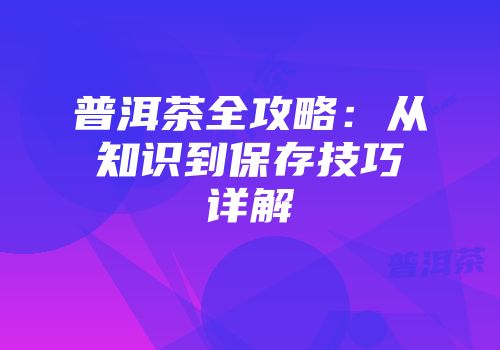 普洱茶全攻略：从知识到保存技巧详解