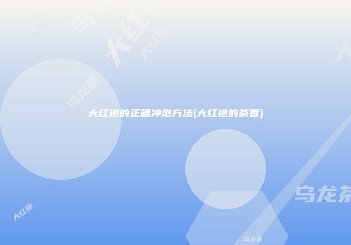 大红袍的正确冲泡方法(大红袍的茶香)