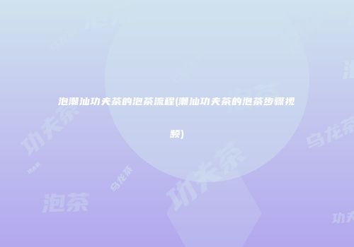 泡潮汕功夫茶的泡茶流程(潮汕功夫茶的泡茶步骤视频)