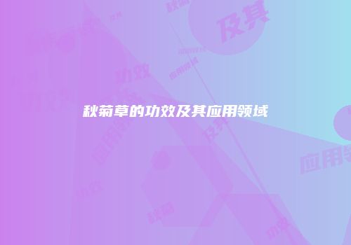 秋菊草的功效及其应用领域