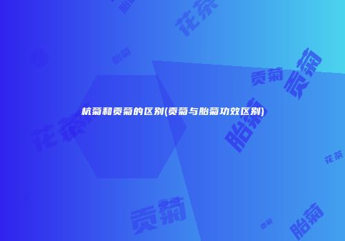 杭菊和贡菊的区别(贡菊与胎菊功效区别)
