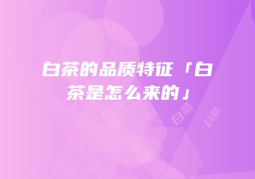 白茶的品质特征「白茶是怎么来的」