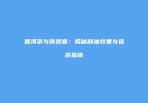 普洱茶与铁观音：揭秘刮油效果与选茶指南