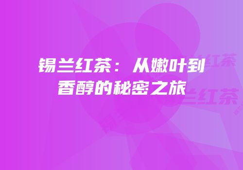 锡兰红茶：从嫩叶到香醇的秘密之旅