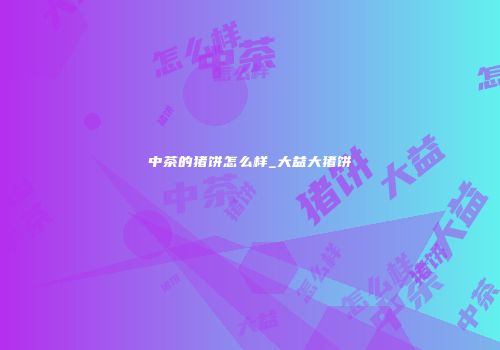 中茶的猪饼怎么样_大益大猪饼