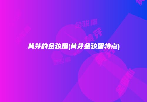 黄芽的金骏眉(黄芽金骏眉特点)