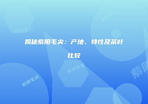 揭秘紫阳毛尖：产地、特性及茶叶比较