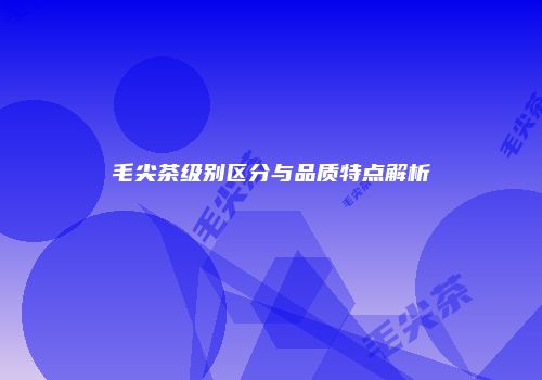 毛尖茶级别区分与品质特点解析