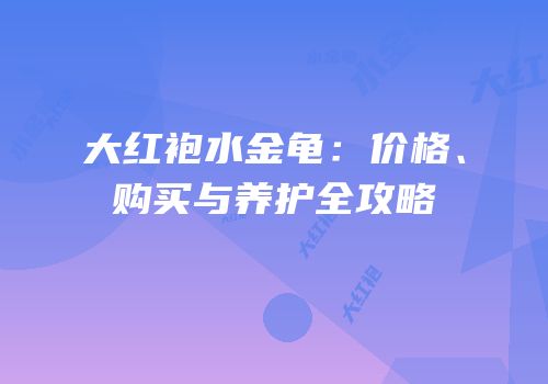 大红袍水金龟：价格、购买与养护全攻略