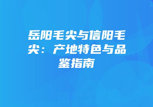 岳阳毛尖与信阳毛尖：产地特色与品鉴指南