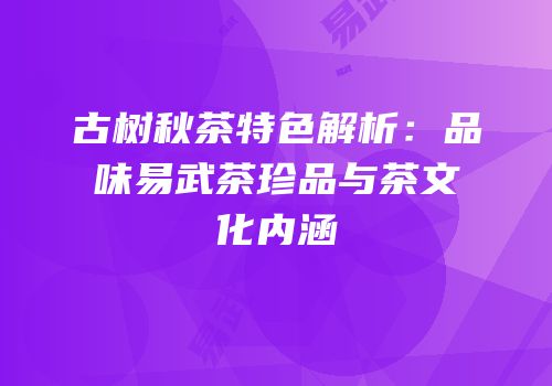古树秋茶特色解析：品味易武茶珍品与茶文化内涵