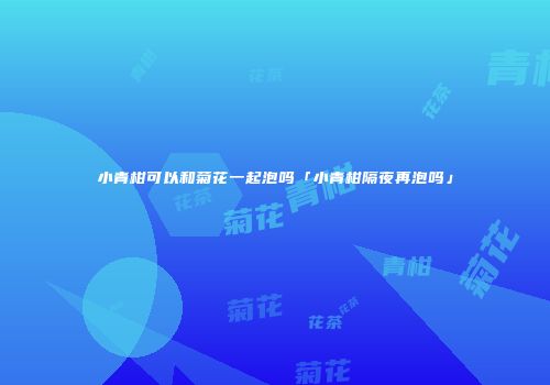 小青柑可以和菊花一起泡吗「小青柑隔夜再泡吗」