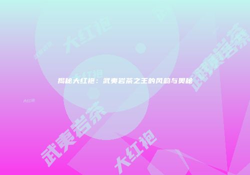 揭秘大红袍：武夷岩茶之王的风韵与奥秘