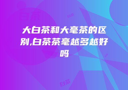 大白茶和大毫茶的区别,白茶茶毫越多越好吗