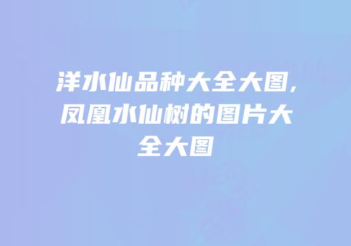 洋水仙品种大全大图,凤凰水仙树的图片大全大图