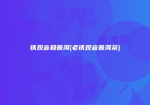 铁观音和普洱(老铁观音普洱茶)