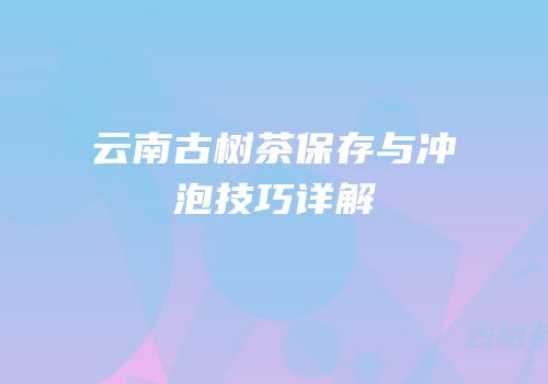 云南古树茶保存与冲泡技巧详解