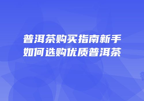 普洱茶购买指南新手如何选购优质普洱茶