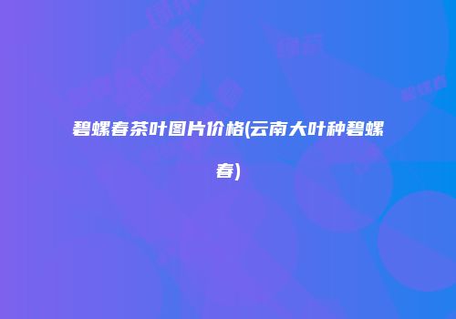 碧螺春茶叶图片价格(云南大叶种碧螺春)