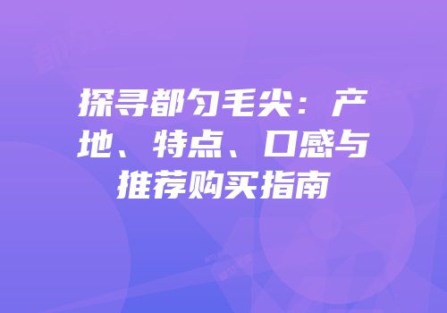 探寻都匀毛尖：产地、特点、口感与推荐购买指南